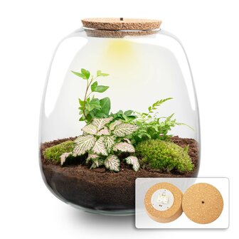Terrarium Diy Kit - Emma - Diy Kit - &uarr; 25 Cm - &Oslash; 23 Cm Yes Bonsai Pink