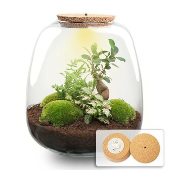 Terrarium Diy Kit - Emma - Diy Kit - &uarr; 25 Cm - &Oslash; 23 Cm Yes Bonsai Pink