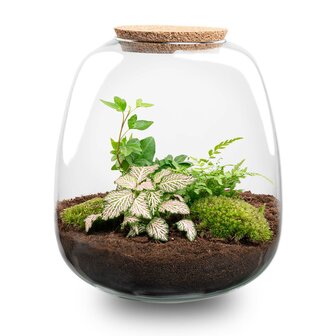 Terrarium Diy Kit - Emma - Diy Kit - &uarr; 25 Cm - &Oslash; 23 Cm No Bonsai Pink
