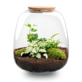 Terrarium Diy Kit - Emma - Diy Kit - &uarr; 25 Cm - &Oslash; 23 Cm No Bonsai Pink