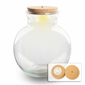 Terrarium With Cork - Teddy With Led Cork - &uarr; 26.5 Cm