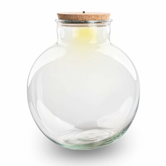 Terrarium Bottle With Led Cork - Bolder Bob - &uarr; 30 Cm