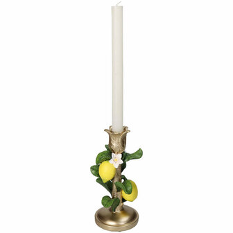 Candle Holder With Lemon Plant - &uarr; 22 Cm