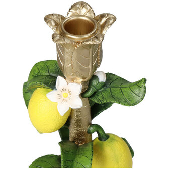 Candle Holder With Lemon Plant - &uarr; 22 Cm