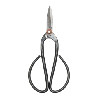 Bonsai Shears L - 19 Cm - Bonsai Tool