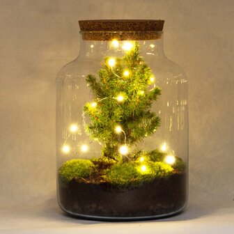 Battery-Operated String Lights - 1 Meter - Warm White - 20 Led Lights