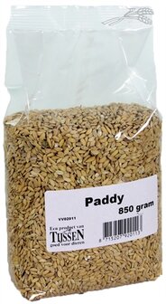 PADDY