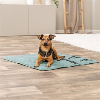 TRIXIE HONDENDEKEN REISDEKEN CITYSTYLE VIERKANT SALIEGROEN