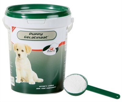 PRIMEVAL GELATINAAT PUPPY