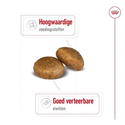 Royal Canin Maxi Adult 4 KG