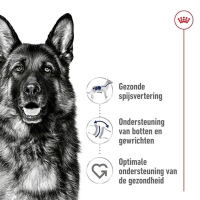 Royal Canin Maxi Adult 4 KG
