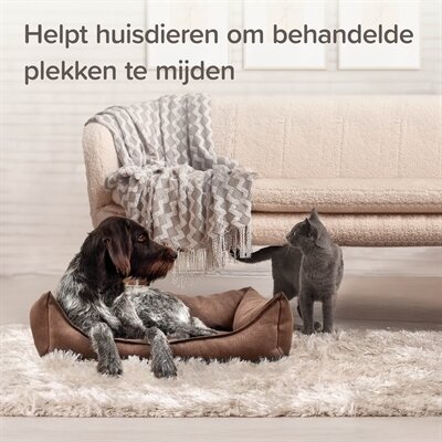 Beaphar Keep Off Spray Kat / Hond Indoor 200 ML