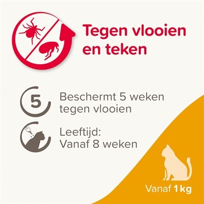 Beaphar Fiprotec Kat Tegen Vlooien & Teken 3+1 PIPET >1 KG EN 8 WEKEN