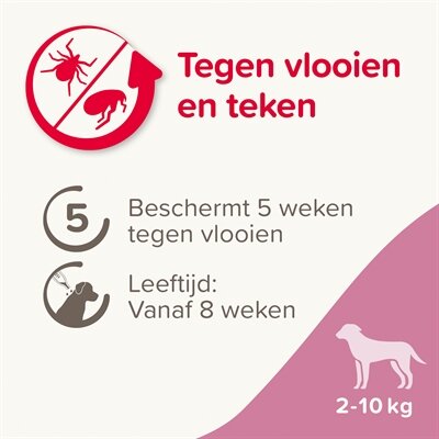 Beaphar Fiprotec Hond Tegen Teken En Vlooien 2-10 KG 3+1 PIP