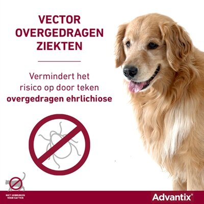 Bayer Elanco Advantix Spot On 600/3000 40+ KG - 4 PIP