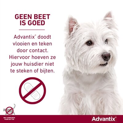 Bayer Elanco Advantix Spot On 600/3000 40+ KG - 4 PIP