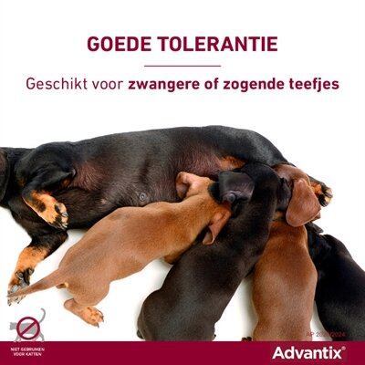 Bayer Elanco Advantix Spot On 600/3000 40+ KG - 4 PIP