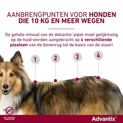 Bayer Elanco Advantix Spot On 600/3000 40+ KG - 4 PIP