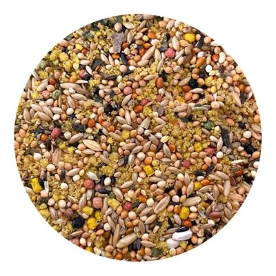 Utopia Parkieten Top Quality 1 KG