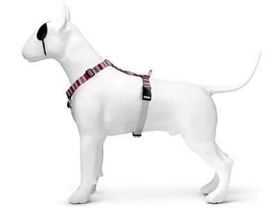 Morso Hondentuig H-Tuig Gerecycled Skyline Rood / Roze 60-80X2,5 CM