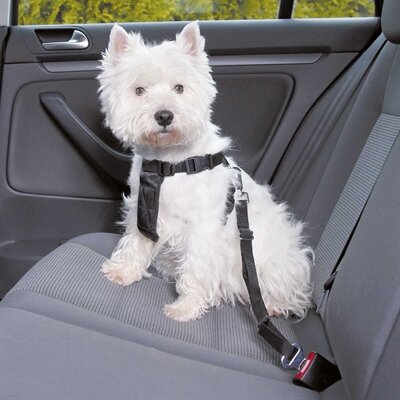 Trixie Hondentuig Auto Inclusief Gordel Zwart 30-60X2 CM