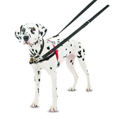 Halti Harness Front Control Zwart MEDIUM