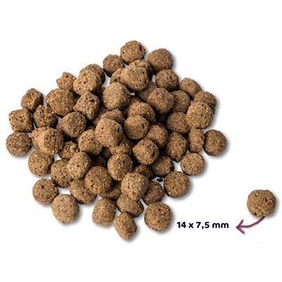 Renske Super Premium Adult Oceaanvis Hypoallergeen 12 KG