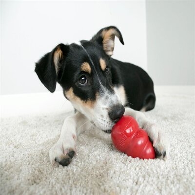 Kong Classic Rood LARGE 7X7X10 CM