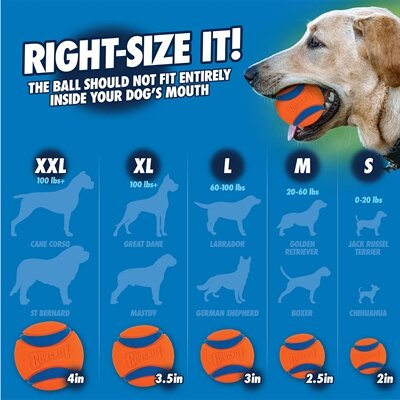 Chuckit Ultra Bal SMALL 5X5X5 CM 2 ST