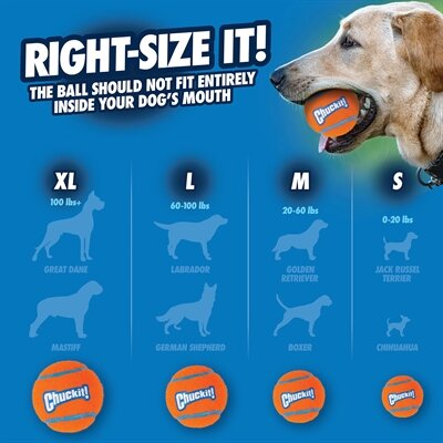 Chuckit Tennisbal MEDIUM 6 CM 4 ST