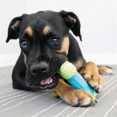 Kong Corestrength Bone 14X5,5X3 CM