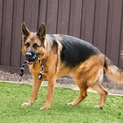 Kong Extreme Bal Met Touw Zwart / Wit 7,5X7,5X7,5 CM