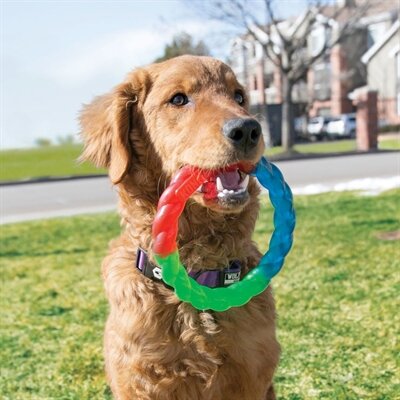 Kong Twistz Ring 17X2,5X17 CM