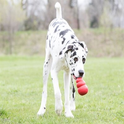 Kong Classic Rood XXL 10X10X15,5 CM