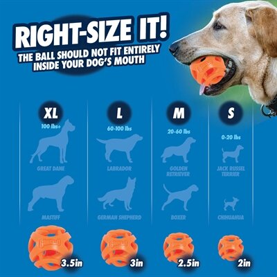 Chuckit Breathe Right Fetch Bal Oranje MEDIUM 2 ST