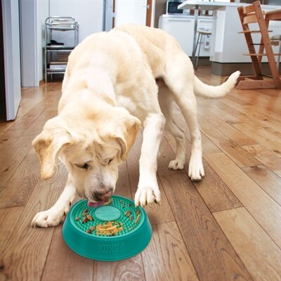 Kong Licks Spinz Teal Groenblauw 20X20X4,5 CM