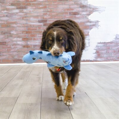 Kong Dynos Roars Blauw 31,5X10X18 CM