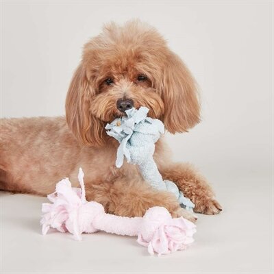 Fofos Terry Puppy Touw 2 Knopen 22X6X6CM