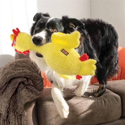 Kong Scruffs Kip 25,5X12,5X39,5 CM