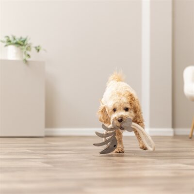 Trixie Visgraat Leer Met Touw 43 CM