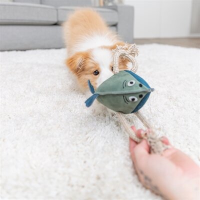 Trixie Vis Leer Met Touw 28 CM
