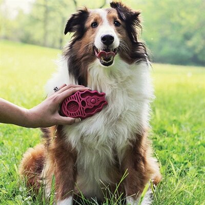 Kong Zoomgroom Rubber Borstel Roze 7,5X4X12 CM
