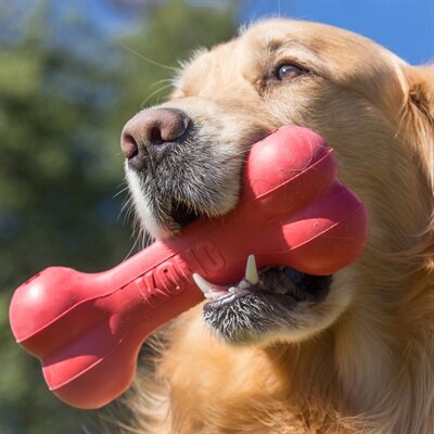 Kong Goodie Bone 18X4,5X6,5 CM