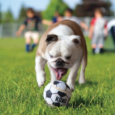 Kong Sport Bal Assorti 6,5X6,5X6,5 CM