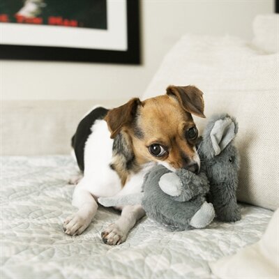 Kong Comfort Kiddos Olifant Grijs 12,5X15X10 CM