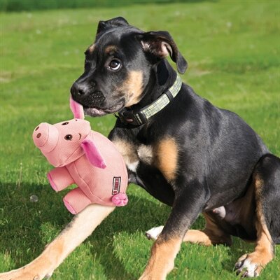 Kong Phatz Varken Roze 22X12X14 CM