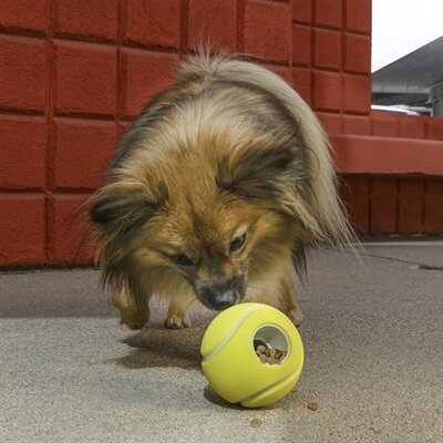 Kong Rewards Tennisbal 8,5X8,5X8,5 CM