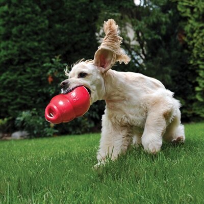 Kong Bounzer Rood 10X10X15 CM