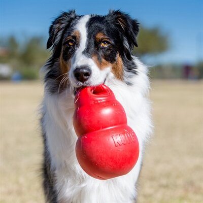 Kong Bounzer Rood 10X10X15 CM