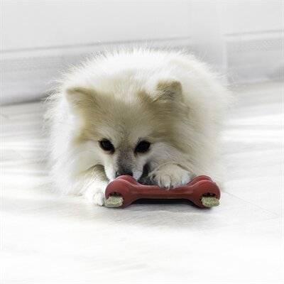 Kong Goodie Bone 13X3X5 CM